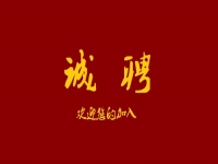 千百匠全國(guó)運(yùn)營(yíng)中心招人啦?。?！