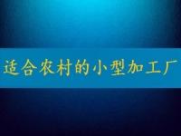 適合農(nóng)村的小型加工廠，月入2萬不算多，你有時(shí)間也能做