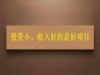 投資這么小，為什么收入?yún)s能這樣好？這個(gè)拿回家做的手工項(xiàng)目給出了答案