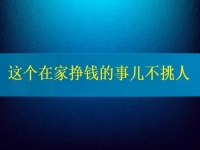 這個在家掙錢的事兒不挑人，2024要掙錢，你我就靠它了