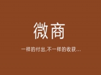 給你一點(diǎn)啟發(fā)，淺談微商的價(jià)值